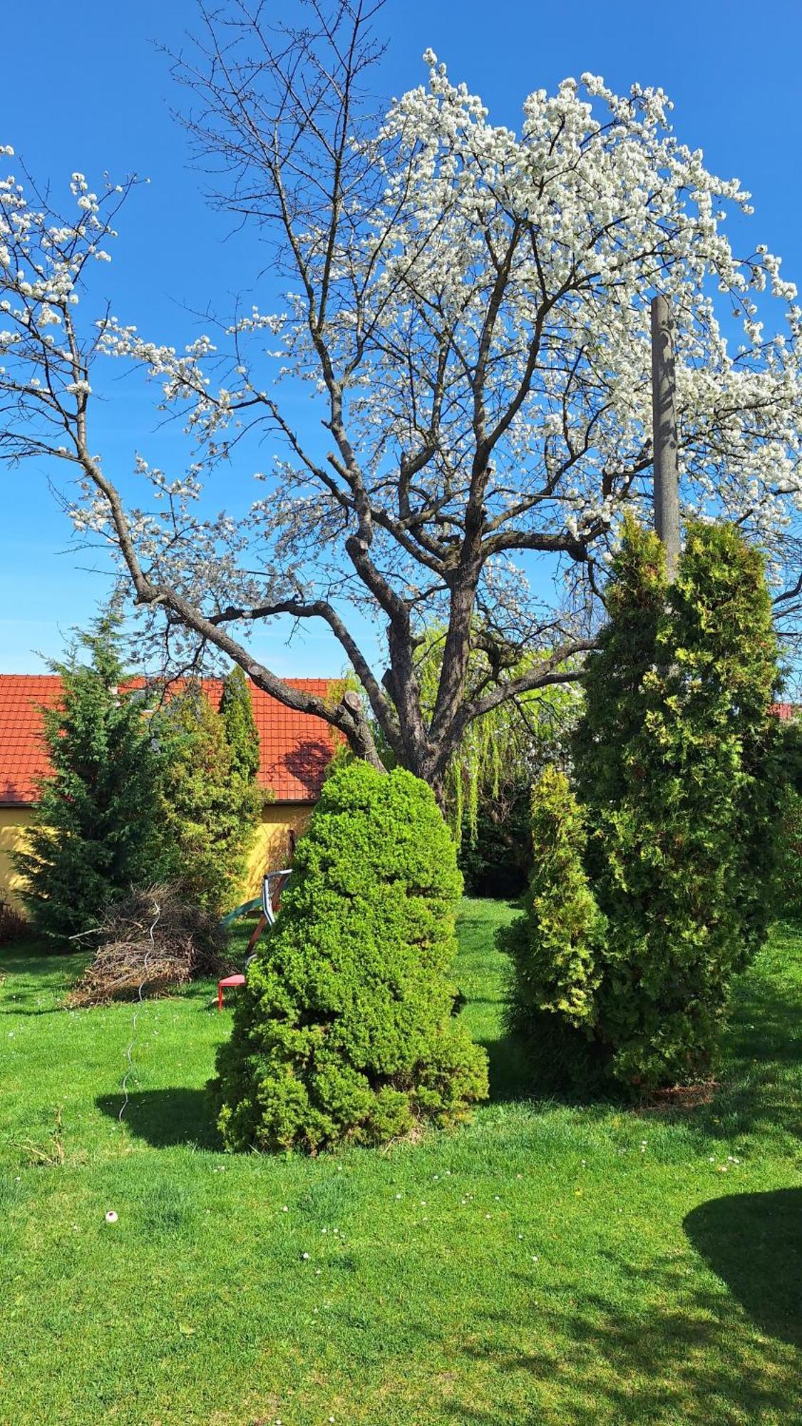Prague Zbraslav Old Garden Apartment Ngoại thất bức ảnh